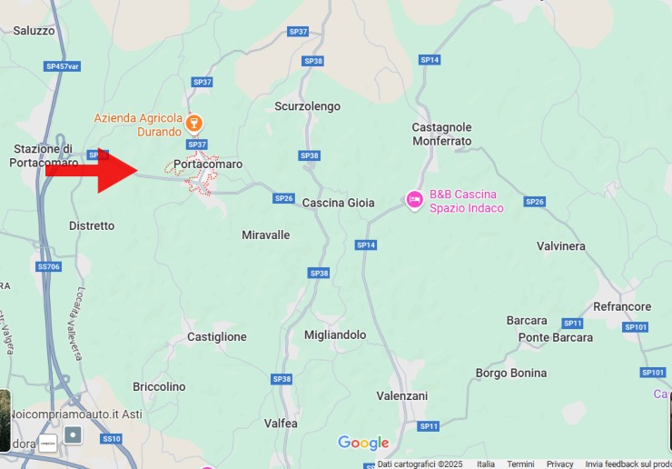 Cartina Google Maps