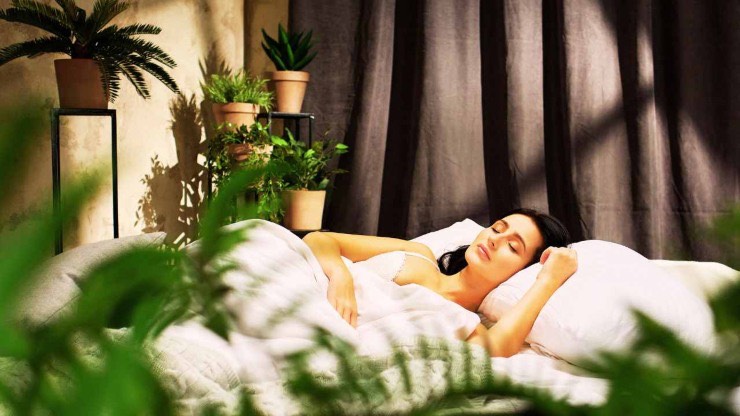 Dormire freschi - fonte_Canva - dentrolanotiziabreak.it