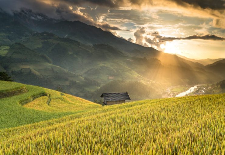 Terrazzamenti montani