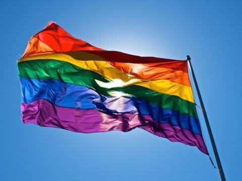 DLN-Bandiera-arcobaleno-manifestazione-anti-omofobia