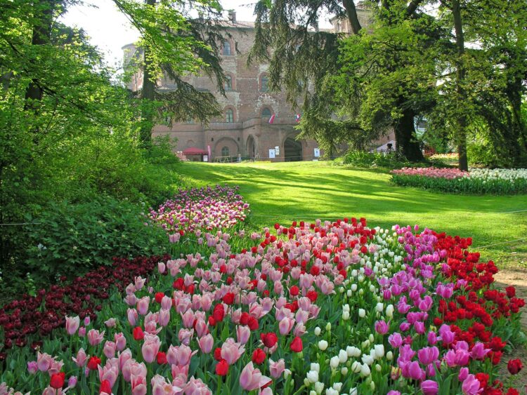 castello pralormo messer tulipano record