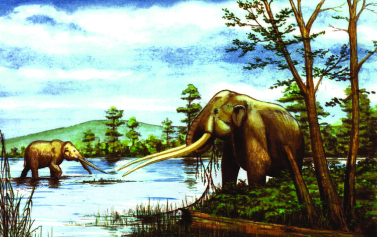 mastodonte-valtriversa-distretto-del-commercio
