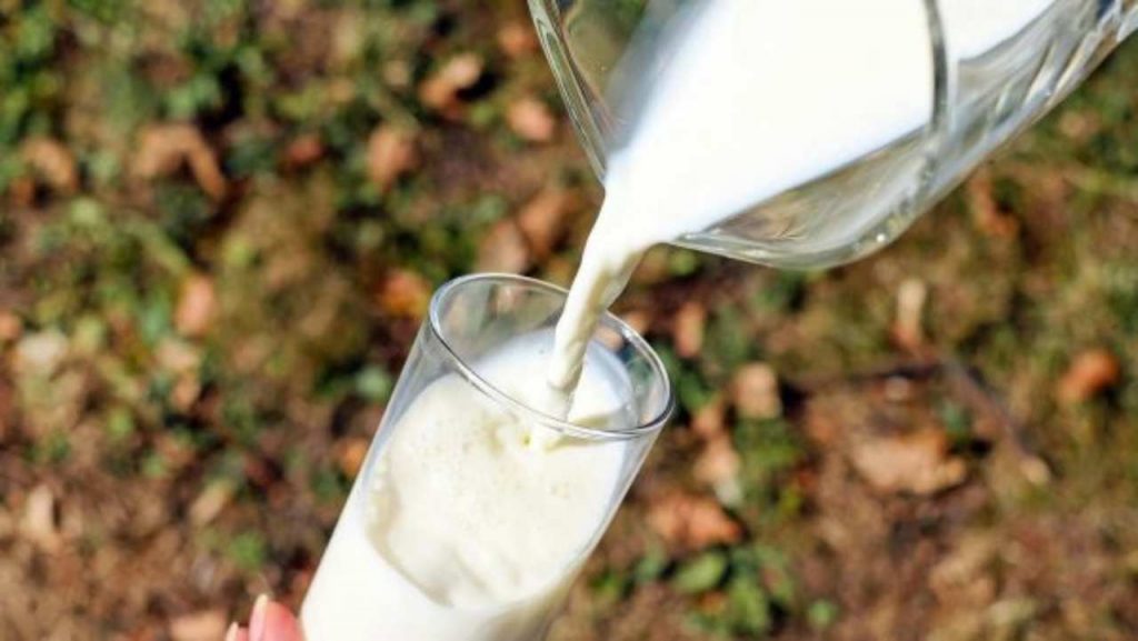 Latte, scatta l'allarme - dentrolanotiziabreak.it - 20250731