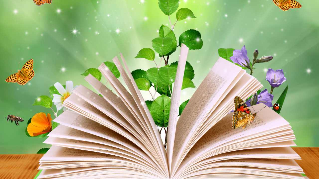 Libri da Gustare 2025 a Limone Piemonte: programma, ospiti e appuntamenti tra cultura e sapori