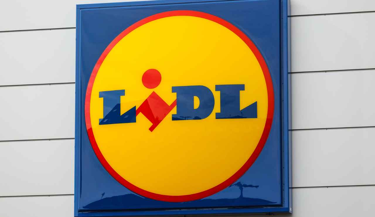 Lidl sogni da Re - Dentrolanotiziabreak.it.it