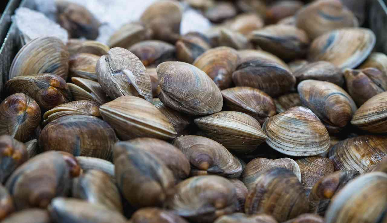 Maxi blitz e ritiro di vongole - Dentrolanotiziabreak.it (Fonte foto Canva)