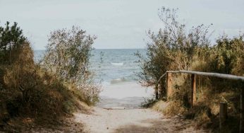 Prenditi un lido tutto tuo: altro che ferie solo 10 giorni | Vivi al mare tutta la vita guadagnando come un Re
