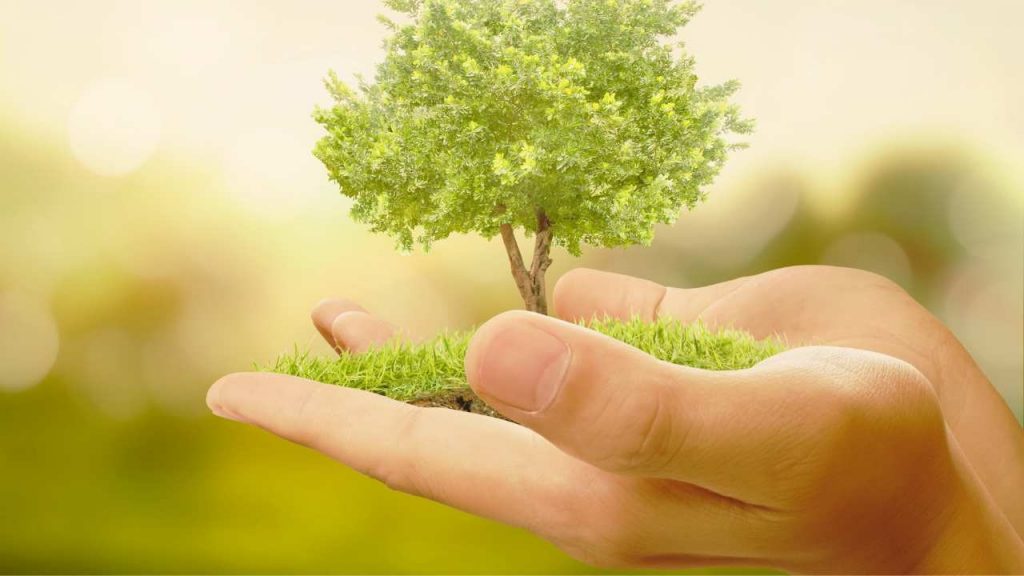 Chivasso punta sul verde: 2 milioni per una città più fresca, vivibile e sostenibile