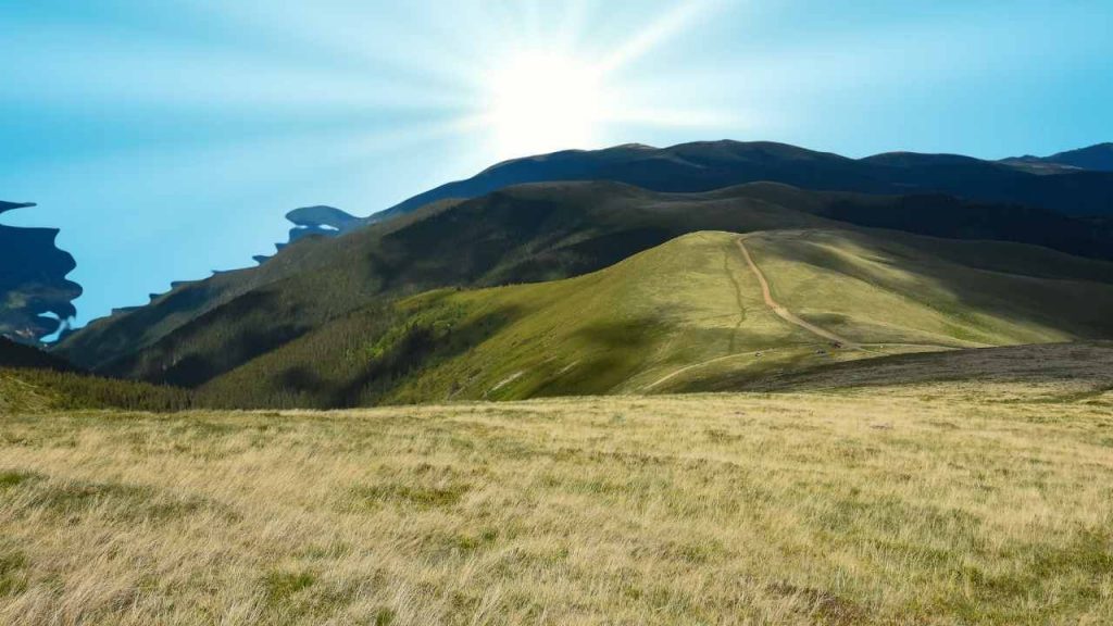 Siccità e caldo anomalo, pascoli montani in crisi: rischio stagione ridotta per le mandrie piemontesi