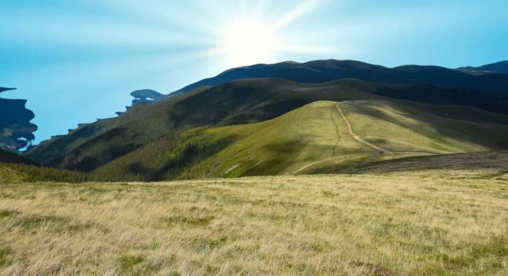 Siccità e caldo anomalo, pascoli montani in crisi: rischio stagione ridotta per le mandrie piemontesi