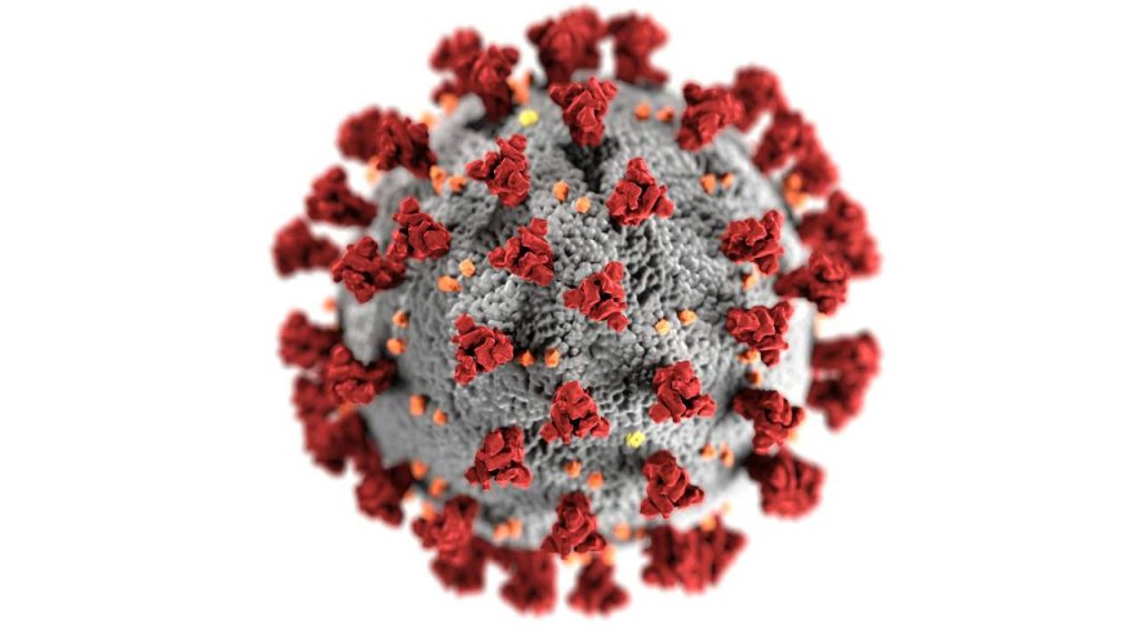 Covid, una nuova variante preoccupa il mondo - dentrolanotiziabreak.it - 20250919