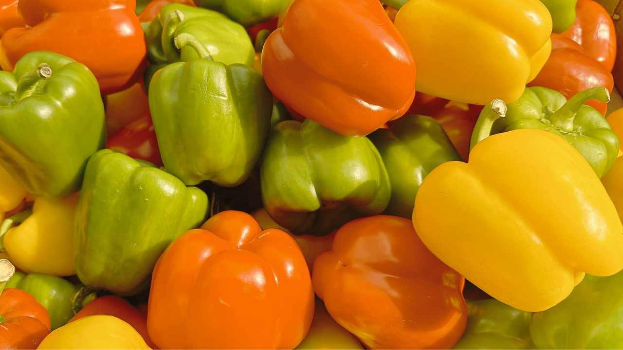 Fiera del peperone, un grande successo | L’agenda di ottobre tra gusto, mercati e grandi festival