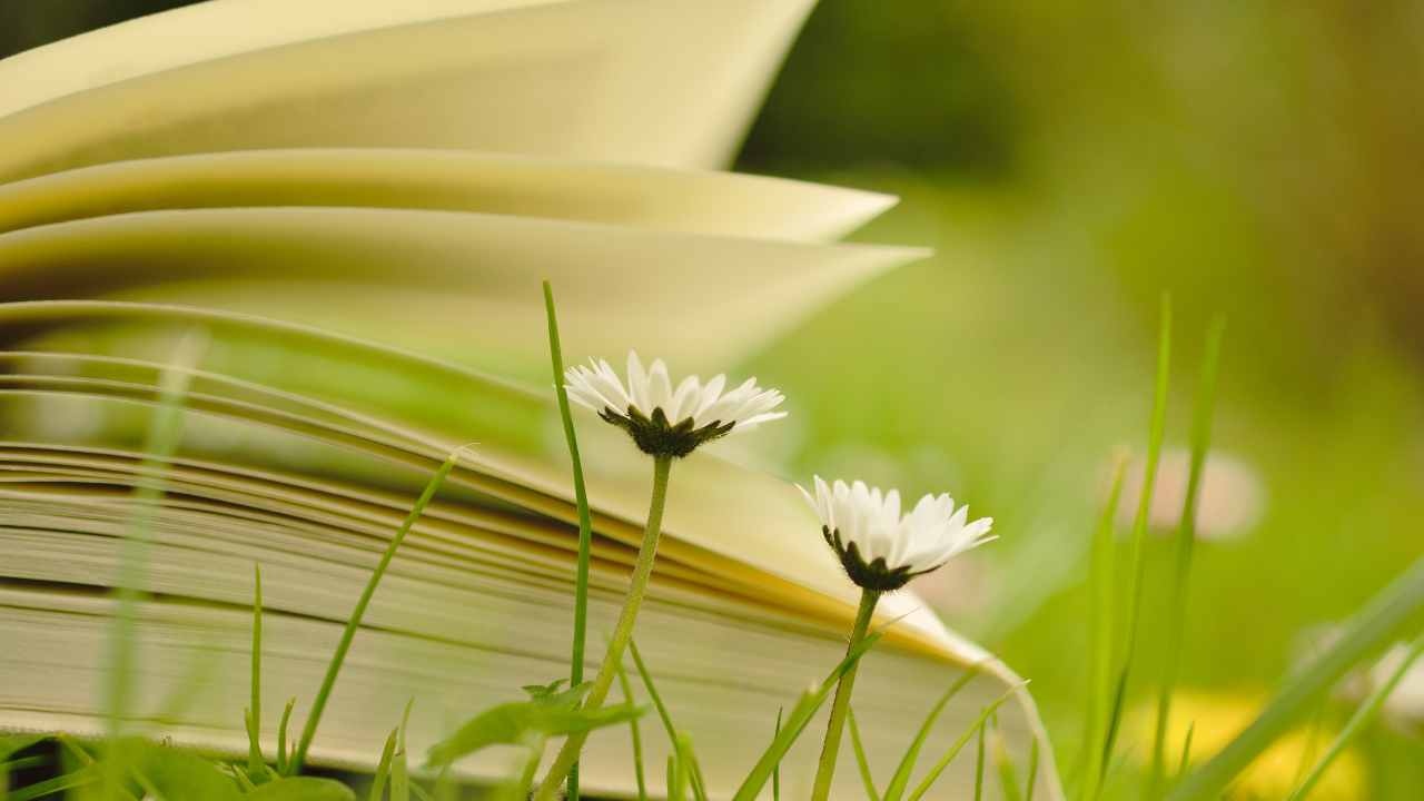 Racconigi, libri e autori tra le mura del castello: torna la rassegna letteraria “Libri a Castello”