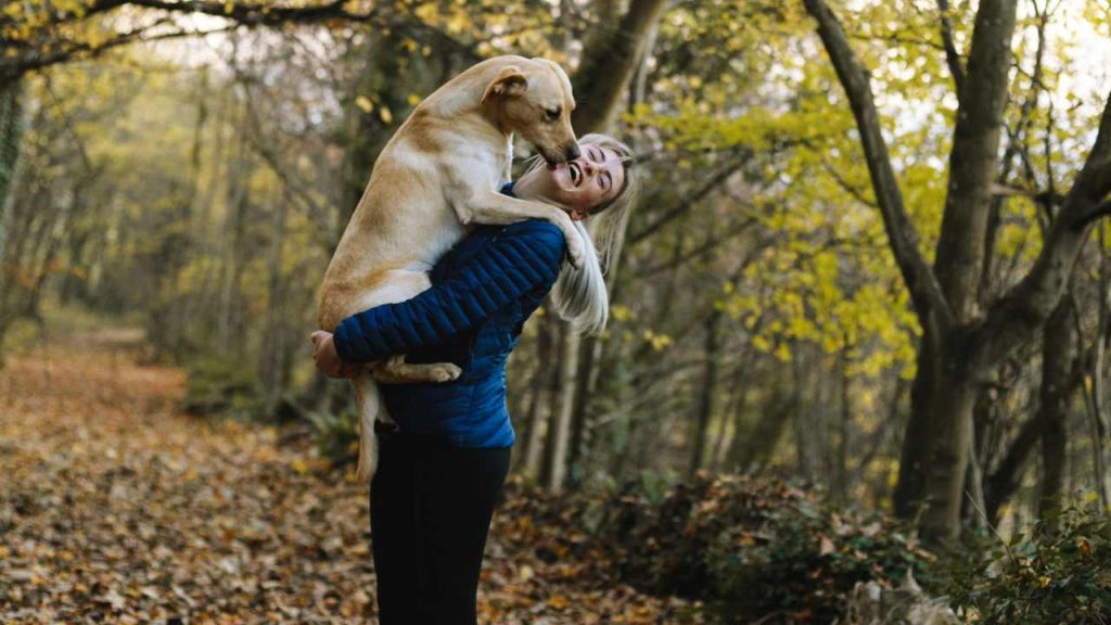 Perché i cani leccano i loro padroni - dentrolanotiziabreak.it - 20250915