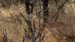 Test per valutare la velocità dell'occhio - dentrolanotiziabreak.it - 20250921