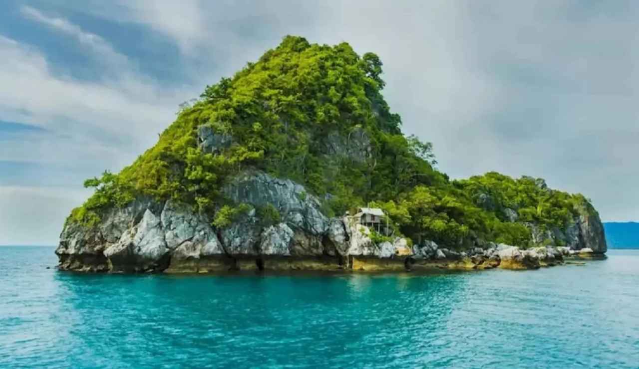 Test visivo trova il pappagallo - Dentrolanotiziabreak.it