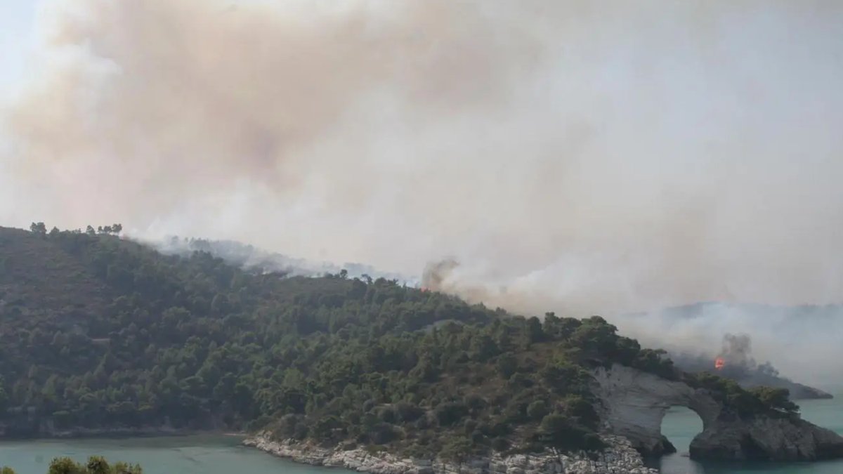 Incendi sul Gargano e in Molise: evacuate spiagge, campeggi e una Rsa