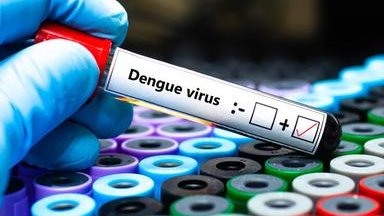 Dengue importata dall’estero, disinfestazione a Gardolo e chiusura della piscina