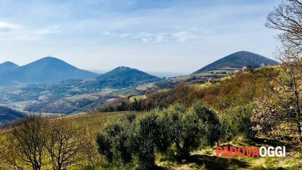 Nuova governance per il Parco Colli Euganei: cinque missioni strategiche per il futuro del territorio