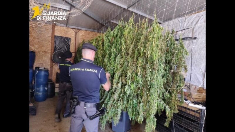 Sequestrati 400 chili di marijuana a Palermo, 6 persone denunciate