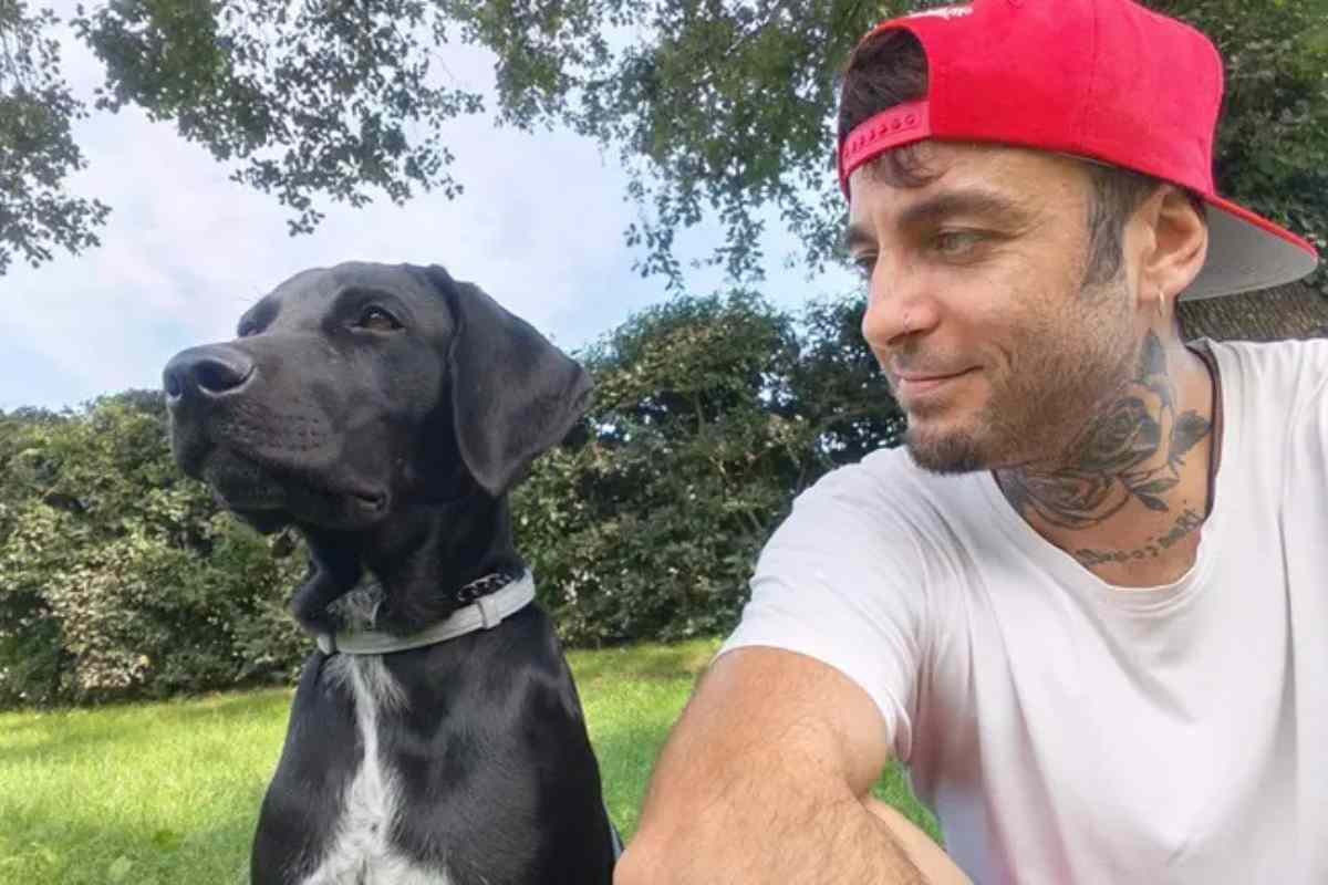 Ludo, il cane che aspetta Andrea: la ricerca di una nuova famiglia dopo la perdita