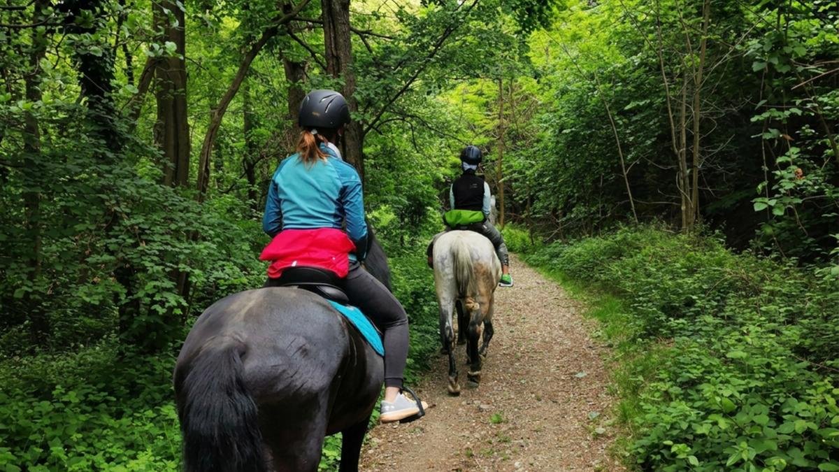 Una ragazza cade da cavallo senza casco, il risarcimento è di 618mila euro