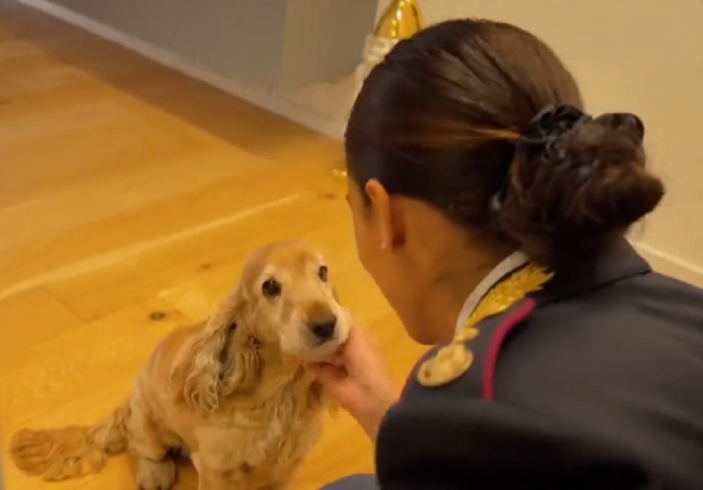 Abbandono degli animali: la storia di Joy e della poliziotta sensibilizza i cittadini