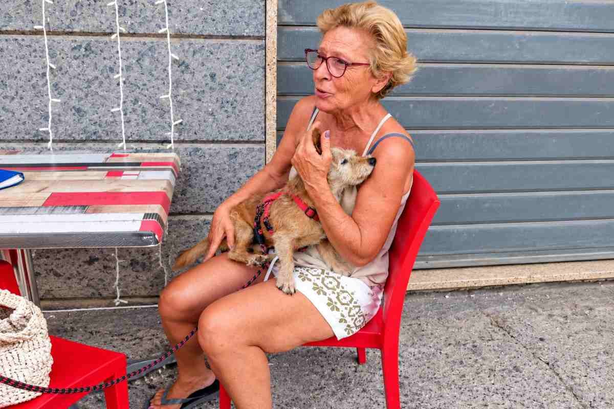Bruno ritrovato dopo sette anni: il cane riconosce la voce della sua umana