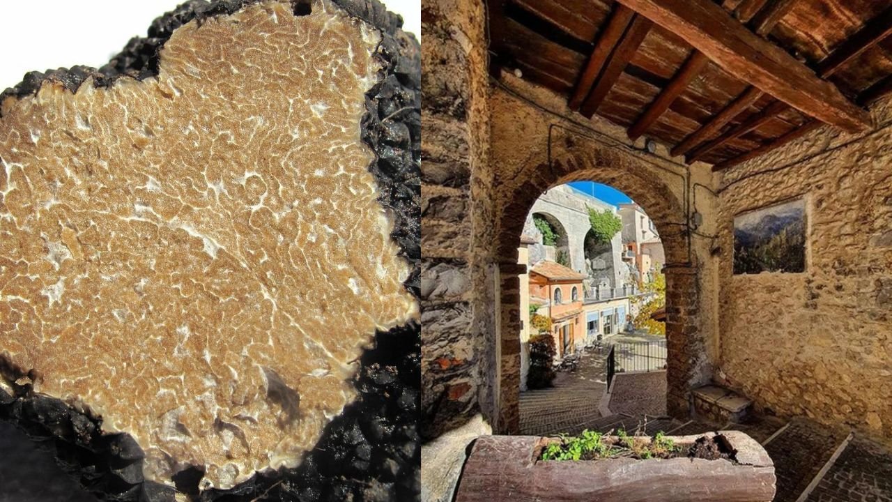 La Sagra del tartufo a Cervara di Roma celebra arte, natura e tradizione