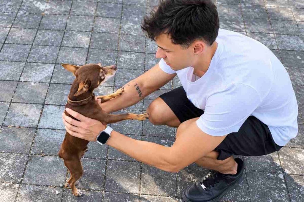 Juan salva un cane abbandonato in una piscina e lo restituisce alla famiglia dopo giorni di cure
