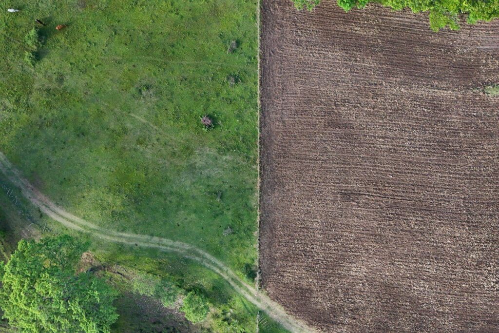 El Niño potrebbe far salire i prezzi di alimenti chiave a livelli mai visti