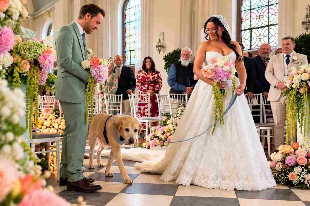 Billy, il Labrador di 16 anni, accompagna la sua umana al matrimonio: un gesto di fedeltà senza eguali