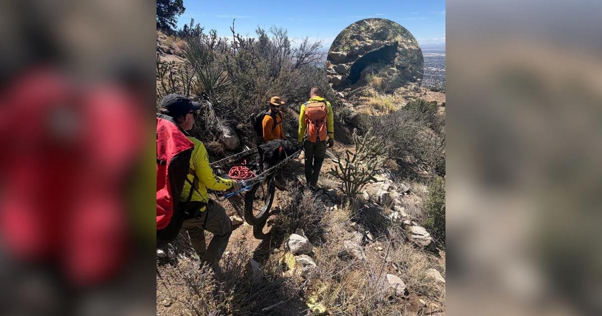 Un cane di 130 chili riceve un soccorso inaspettato dopo un’escursione in montagna