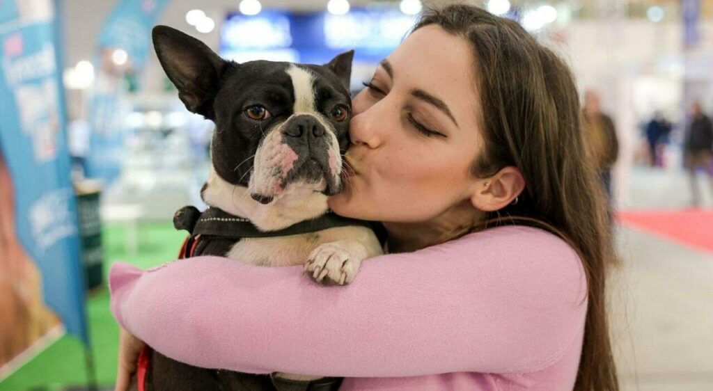 Animali domestici possono essere sepolti insieme ai padroni nei cimiteri veneziani