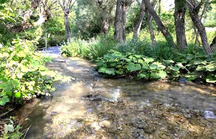 Mobilitazione per la difesa del fiume Giovenco: raccolta firme a Pescina e Cesoli