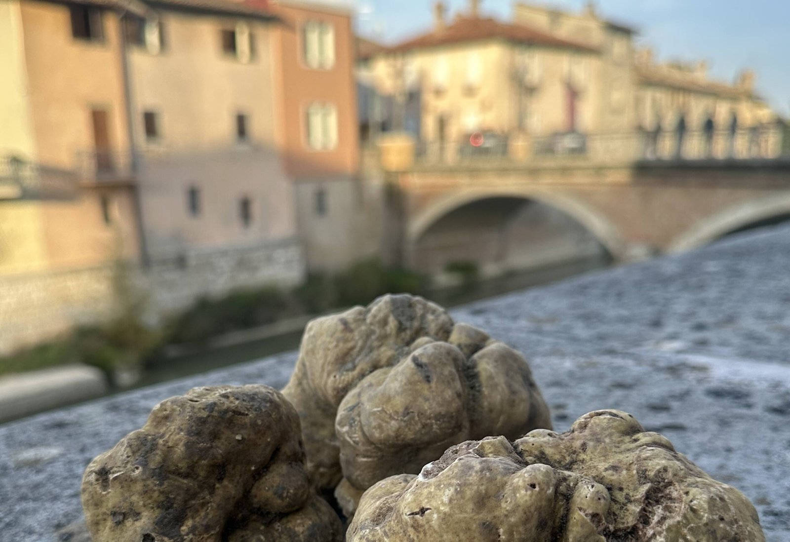 Fiera del tartufo a Sant’Angelo in Vado: maxi frittata da 1000 uova e premiati di rilievo